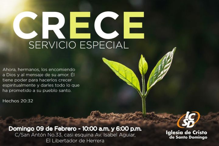 Servicio Especial 